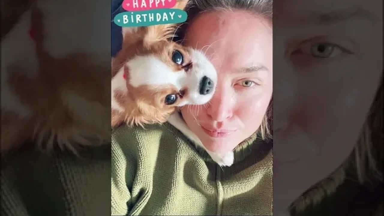 Sending hugs and kisses to you on your birthday, Pismo! 🥳🎂🐶 #cavalier #puppy #birthdaydog