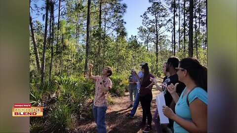 Brooker Creek Preserve | Morning Blend