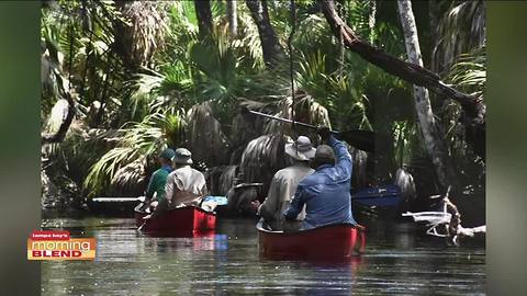 Florida Birding & Nature Festival|Morning Blend