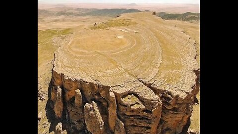 **EXPOSED**--CIA/NSA COVER UP-- (ANCIENT GIANT TREES) FORBIDDEN!!!