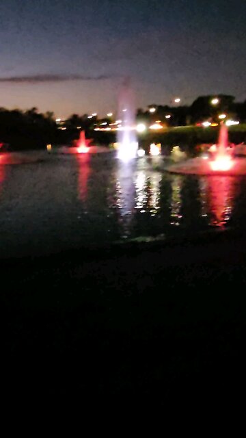 My Peaceful Place - How Did Politics Become so Toxic?