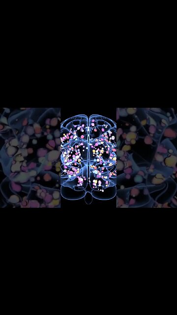 The Mysteries of the Human Body: Exploring the Inner Workings of Your Anatomy #humananatomy