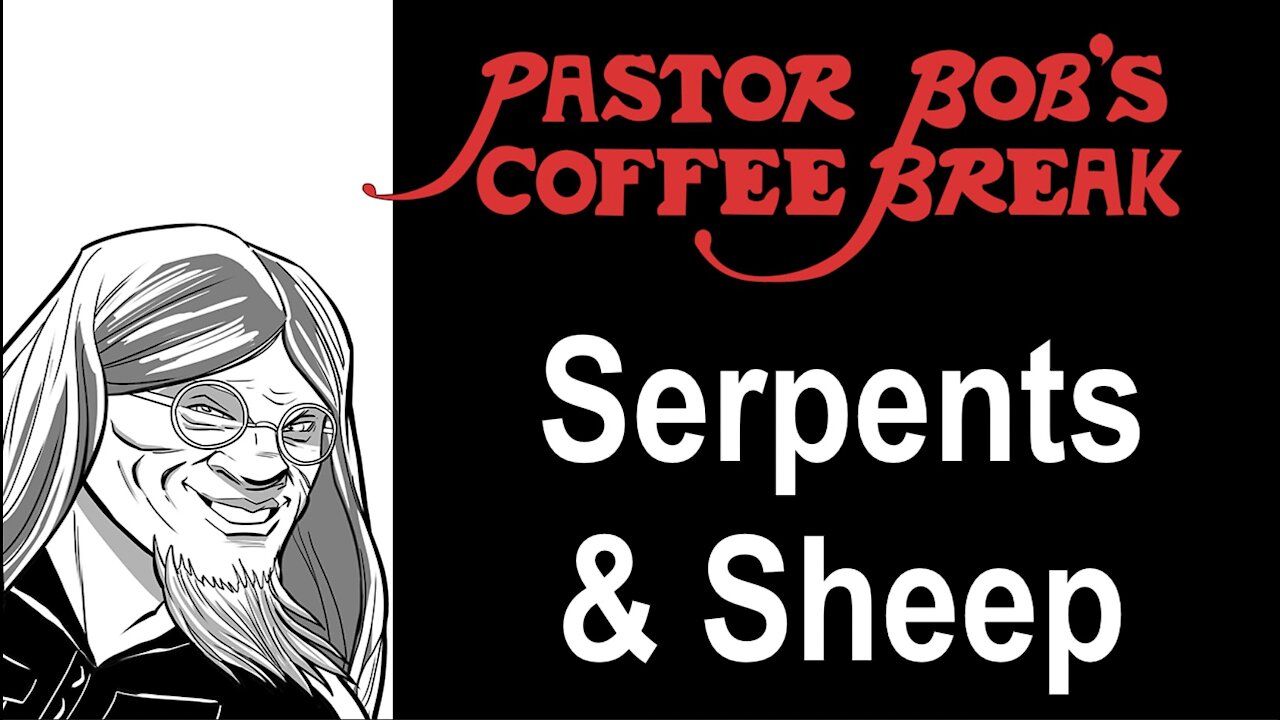 SERPENTS AND SHEEP / PB's Coffee Break