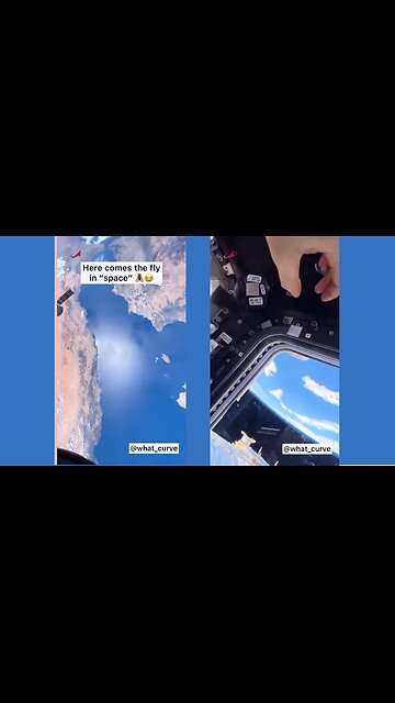 More NASA Fakery from the ISS❓ Viewer spots a fly on one of their fake streams.