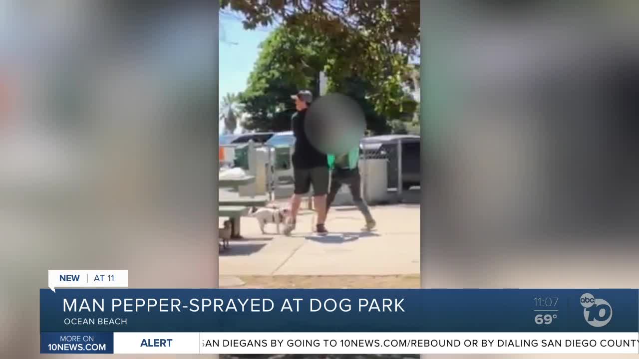 Man pepper-sprayed at dog park