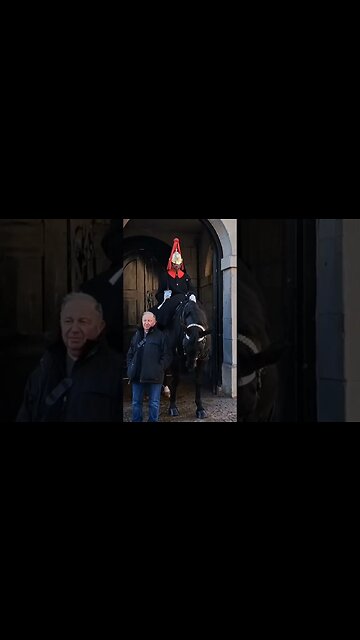 Horse hits tourist on the head #horseguardsparade