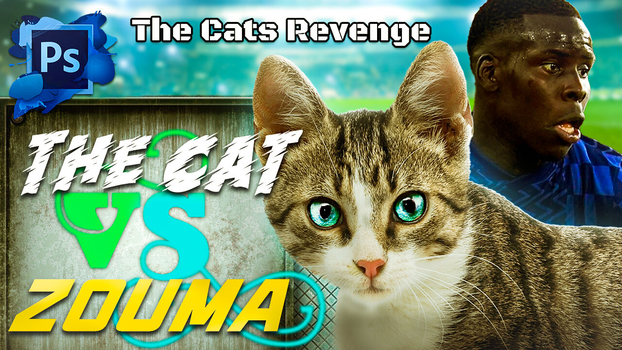 The CAT vs ZOUMA 2 (The Cat KICKS Back) | Photo Manipulation | Digital Speed Art