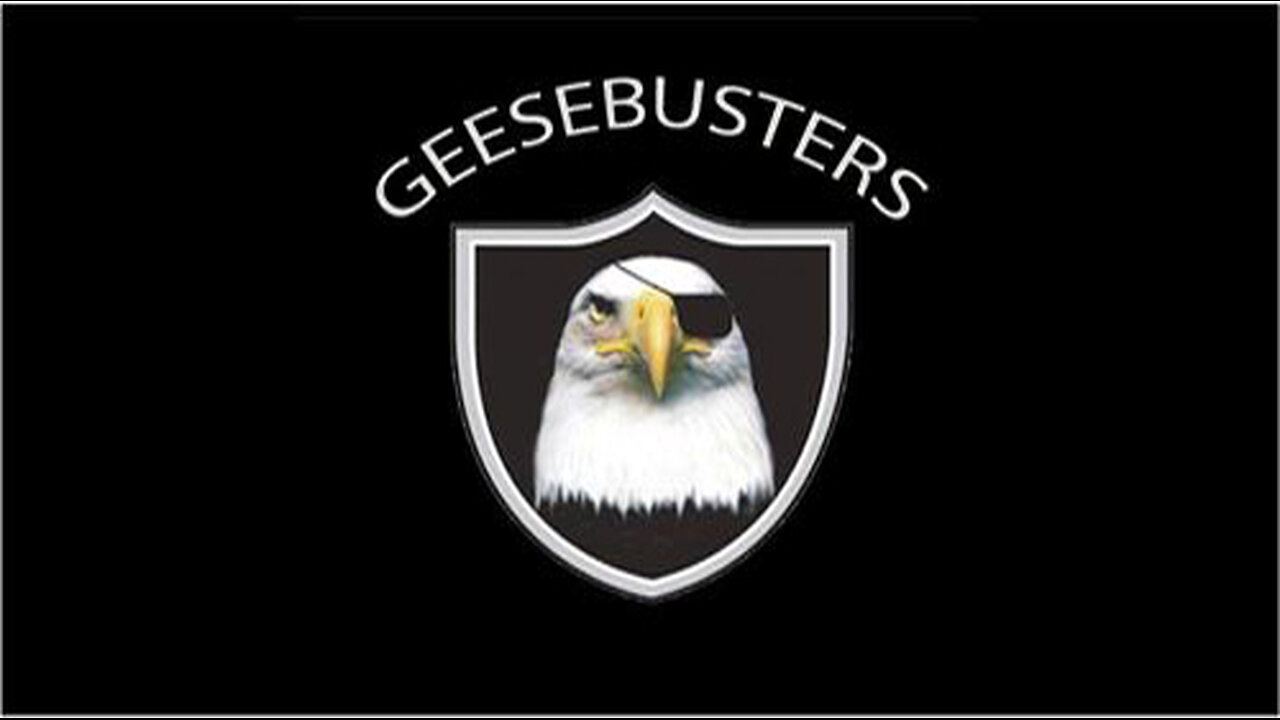 Geesebusters.com - Geese hit an invisible wall around a farm, protected by Geesebusters