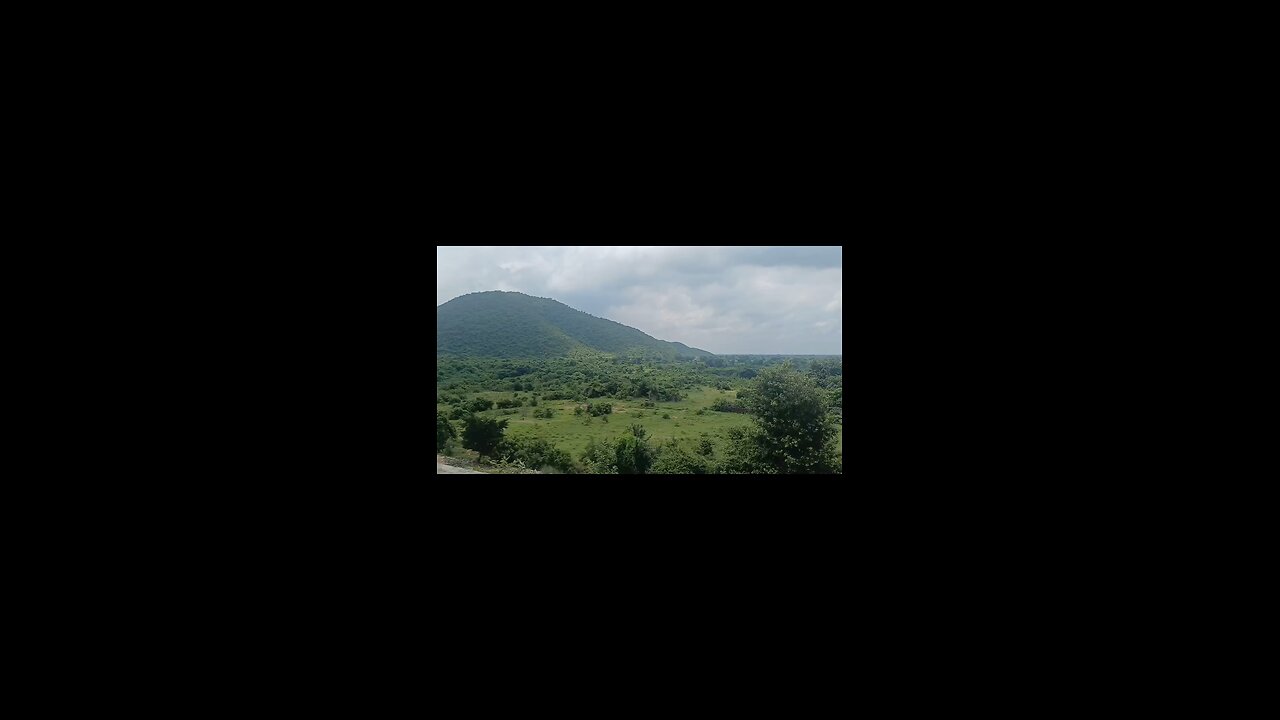World Forest Hilli in India