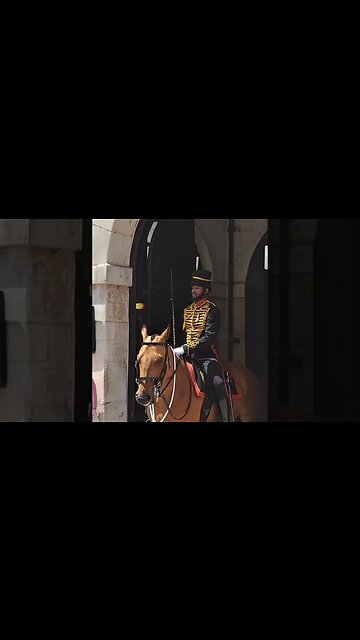 The horse thinks its in the grand national 🤣 #horseguardsparade