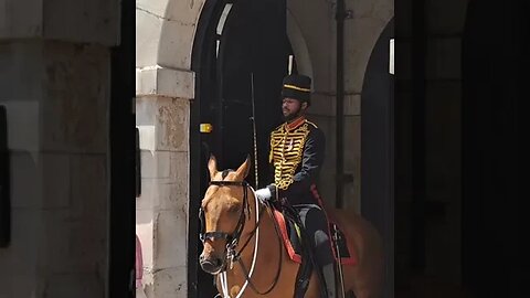 The horse thinks its in the grand national 🤣 #horseguardsparade