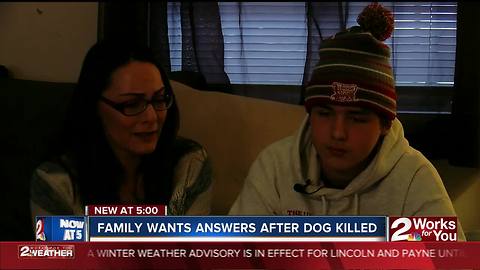 Family's dog killed days before Christmas