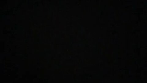 True Freeman Killed Multiple Puppies On Thanksgiving