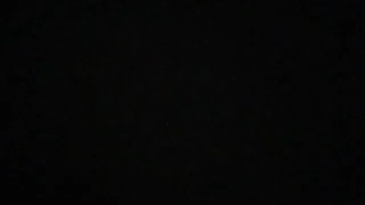 True Freeman Killed Multiple Puppies On Thanksgiving