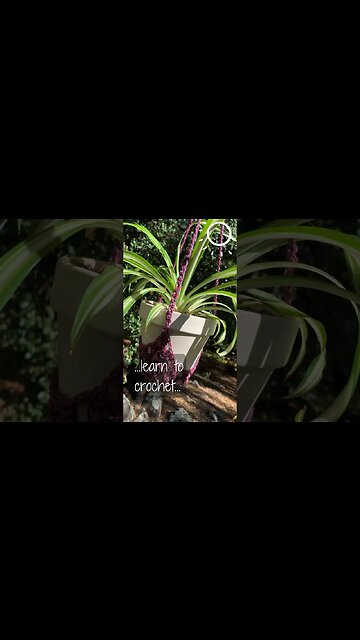 Crochet Granny Triangle Plant Holder