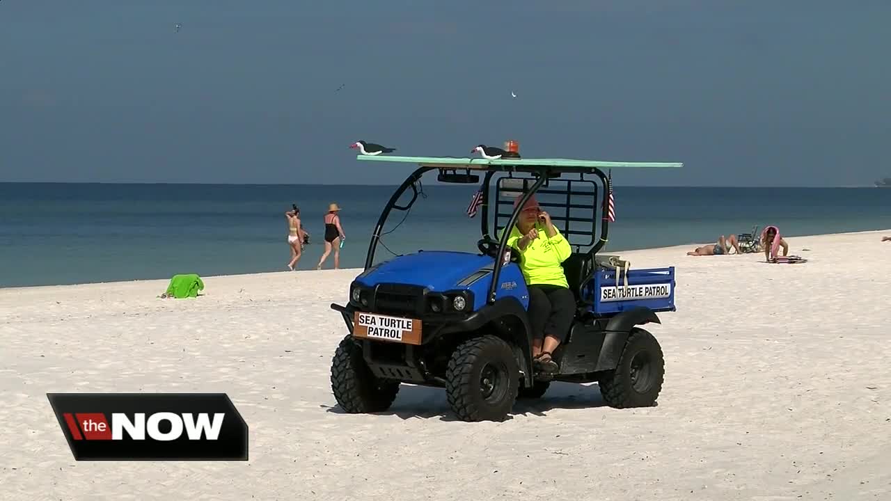 Anna Maria plans to use all 'turtle friendly' lighting