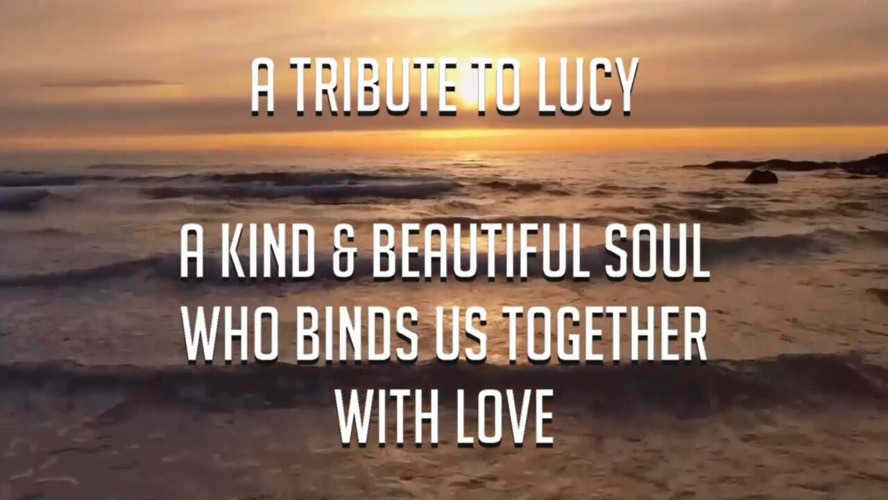 Tribute to Lucy