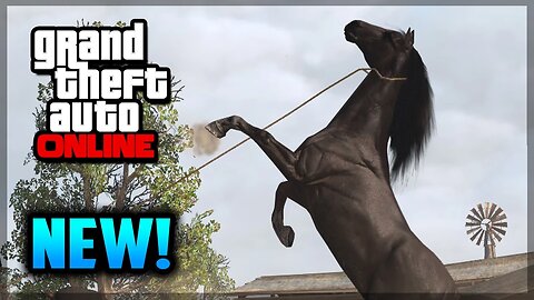 GTA 5 Online - Horse DLC, Yachts & MORE! (GTA 5 Online Gameplay)