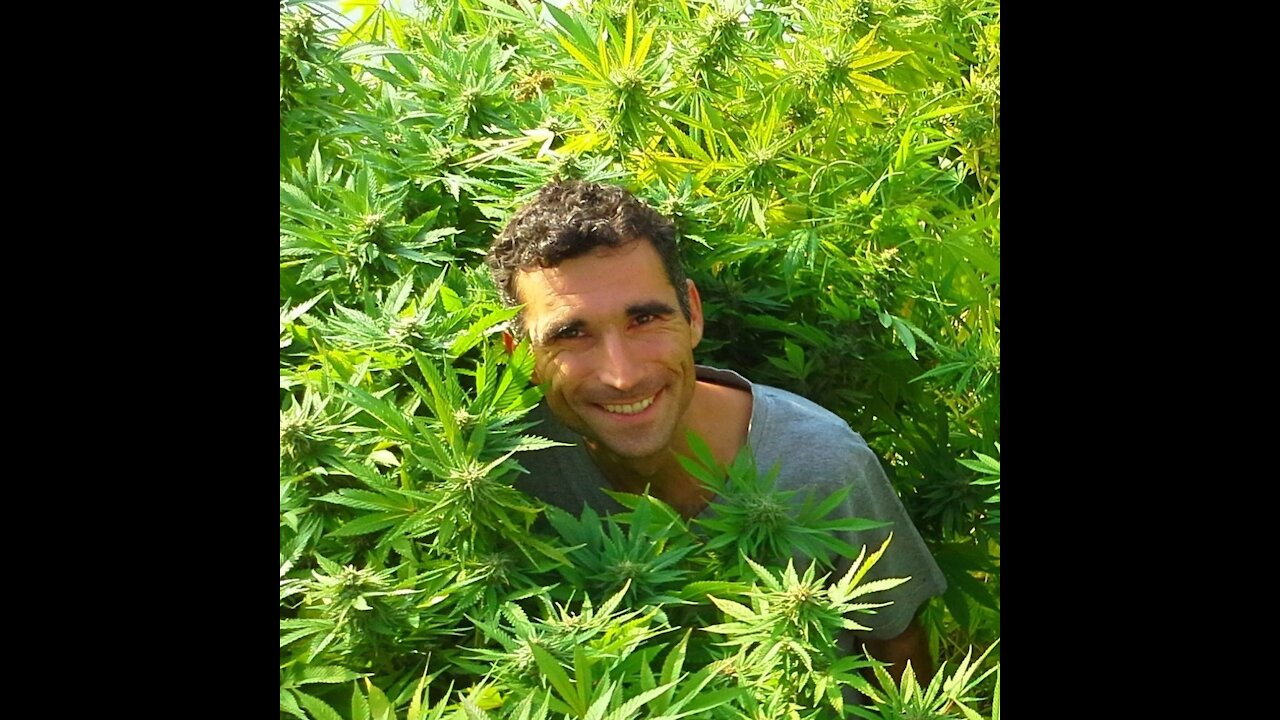 Episode 29: Cannabis Was His Only Effective Treatment for Multiple Sclerosis