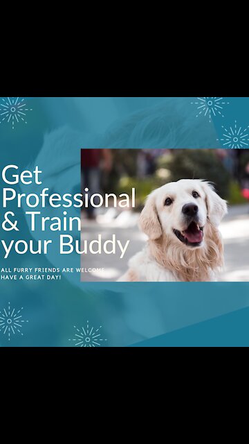 Gucci does all excercises with me and better than me