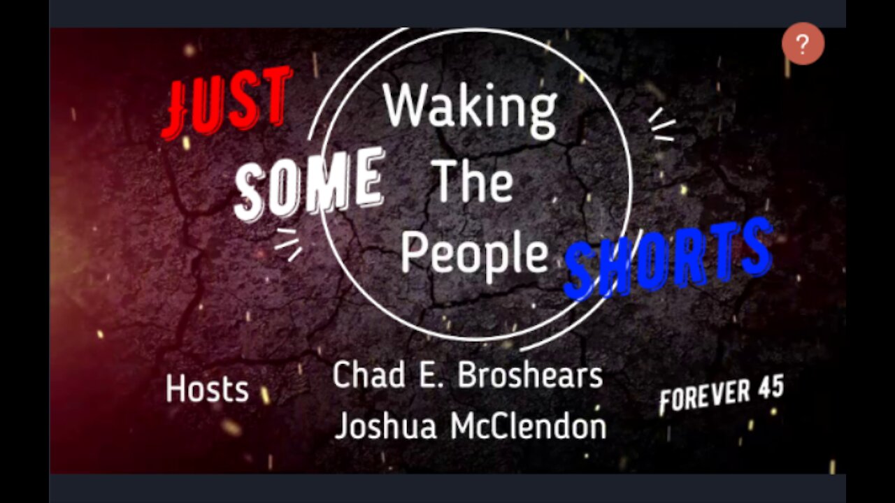 Waking The People #6 Just Some Shorts: Bernie