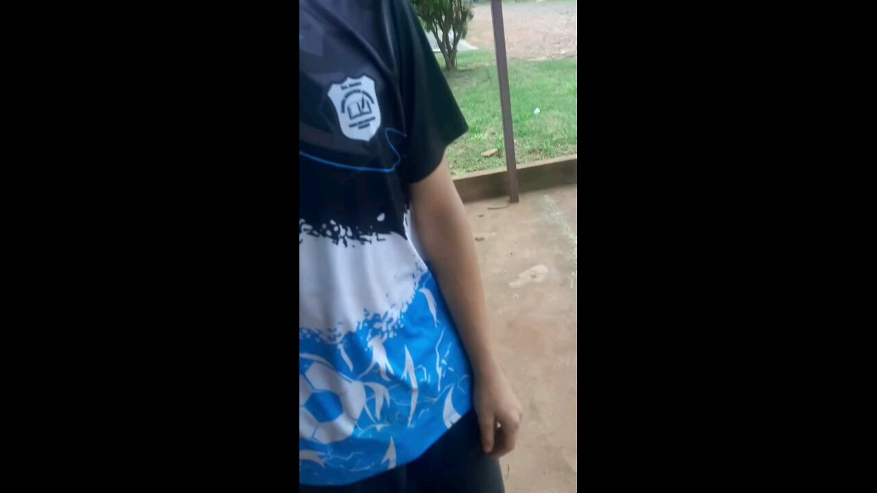 funny videos