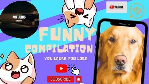 Funny Videos Compilation