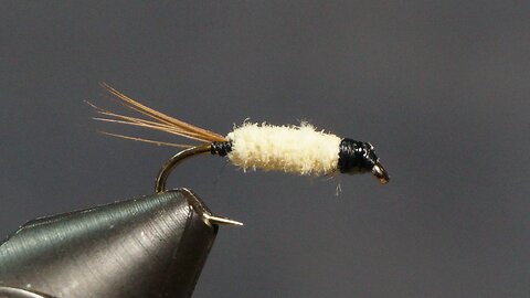 Buckskin - Caddis larva imitation