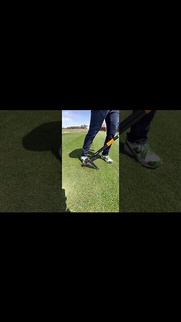 Shockingly Satisfying Weed Pulling 🤤