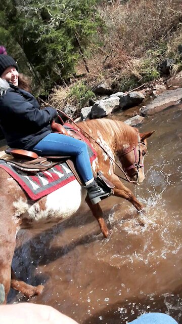 My horse laid down in the creek!