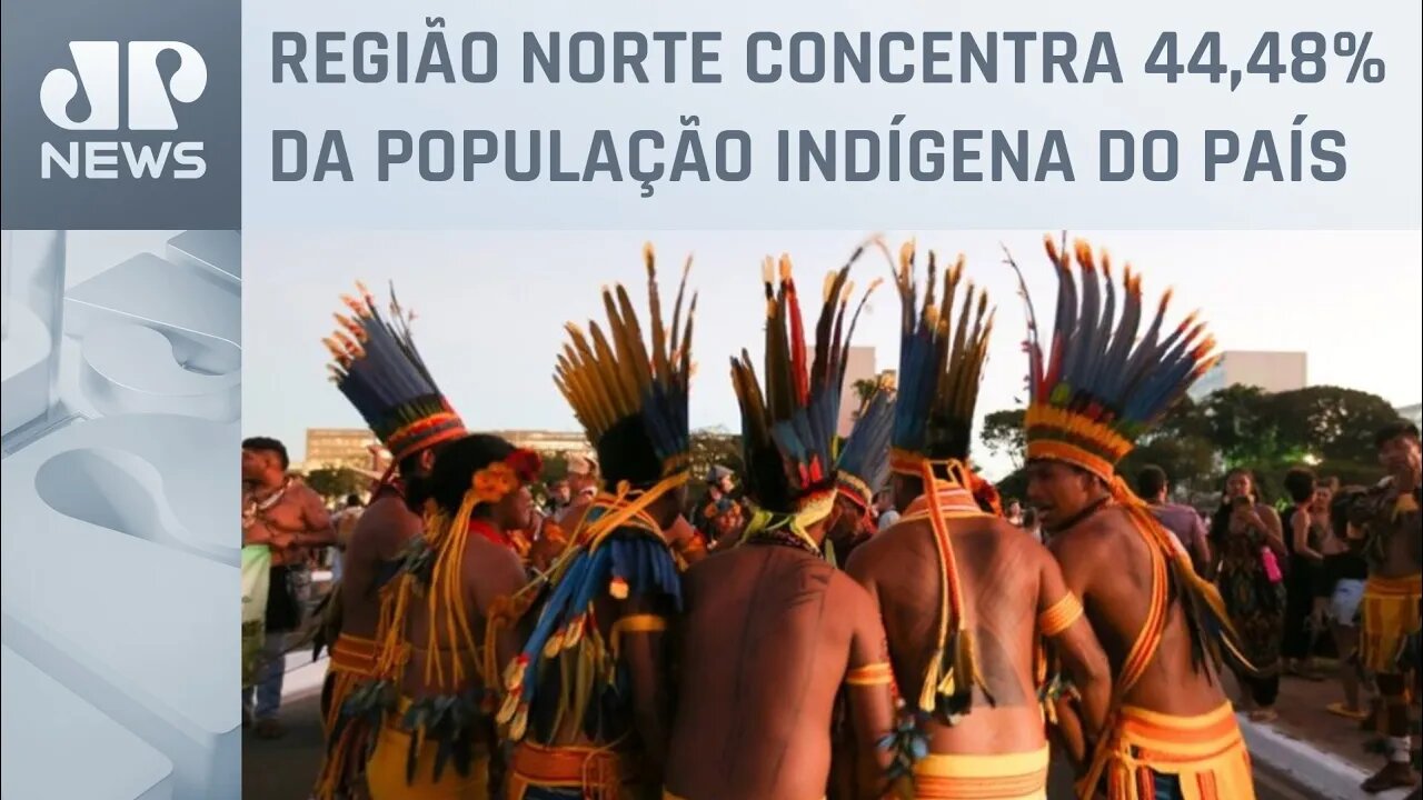 População indígena quase dobra em 12 anos no Brasil e chega a 1,6 milhões, diz IBGE