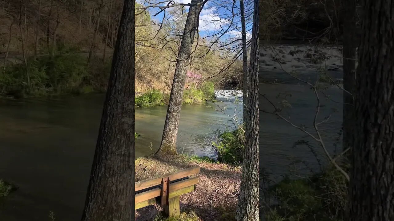 Daughter and Dad’s favorite spot in our favorite park! 👧🧑❤️🌳