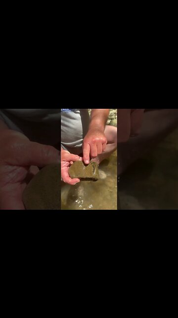 Myth BUSTED! #shorts #tracking #myth #truth #water #search #foot