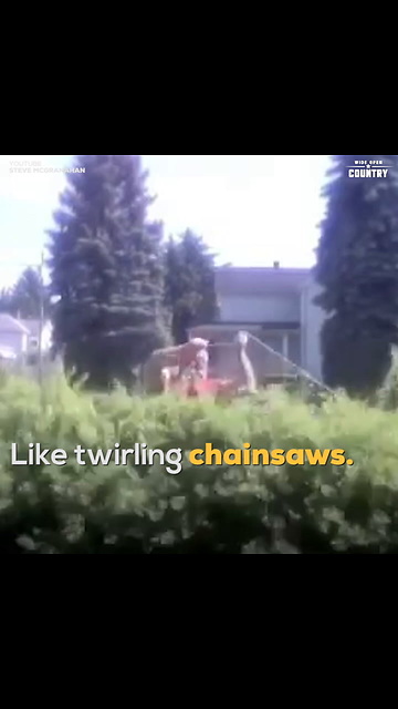 Worlds Strongest Redneck Mkazac7W