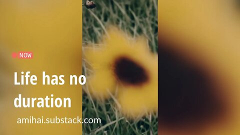 Life has no duration | amihai.substack.com | Art of Now