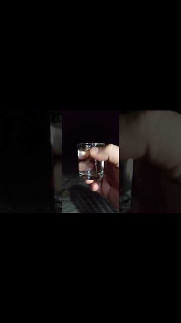 What do you do at night when you live in the middle of the woods?