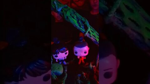 Funko doing Stranger Things. "Finding Will in the Upside Down" (A walk in the Upside Down)