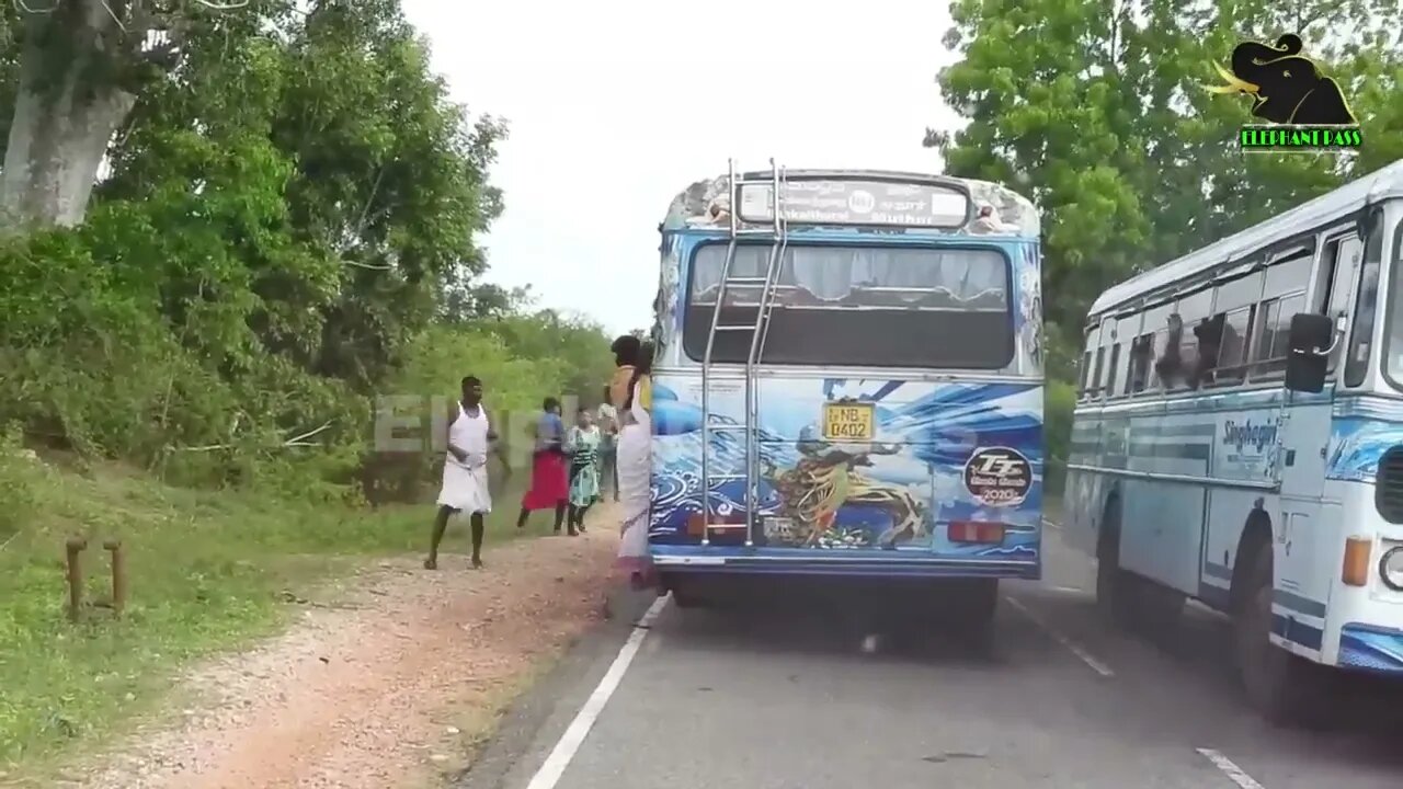 A severe elephant attack on a bus People fall down in fear 11