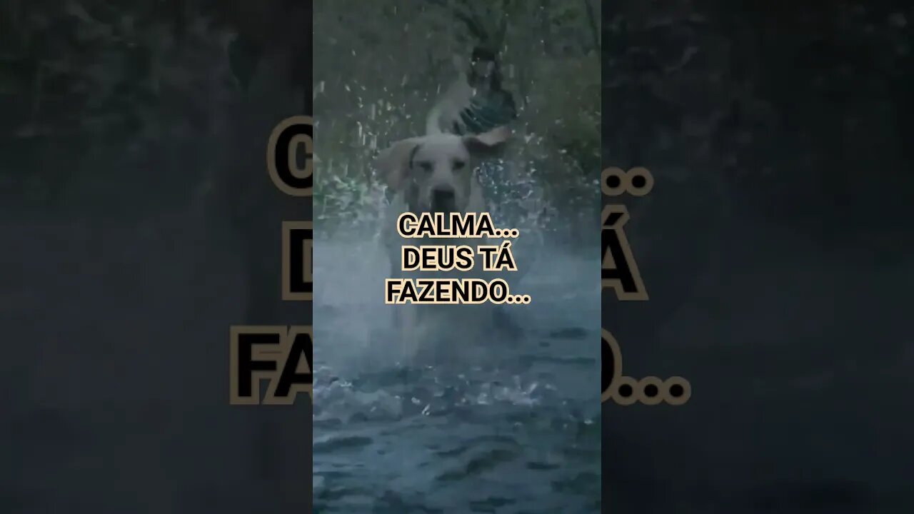 Calma..Deus tá Fazendo. #short #calma #deusnocomando #deusnocontrole #deusefiel