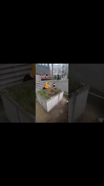 Dive Head First Into Things They Said…