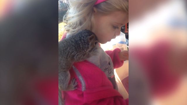 A Girl And Her Squirrel Friend