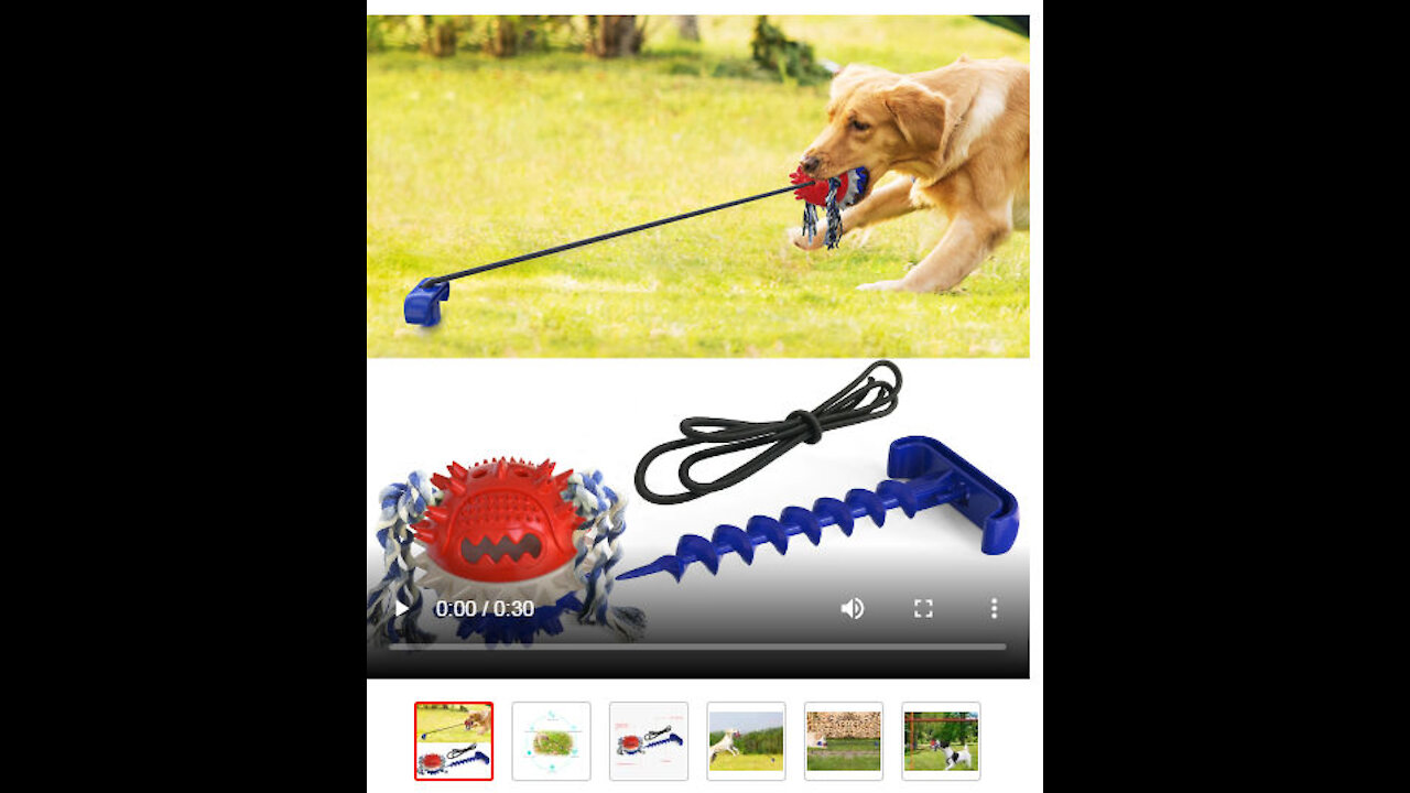 Outdoor Dog Toy Chew Toy Interactive Play for Aggressive Chewing Dogs