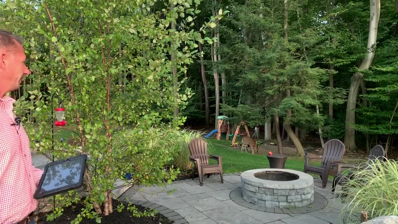 Weather Outside - Deer Edition
