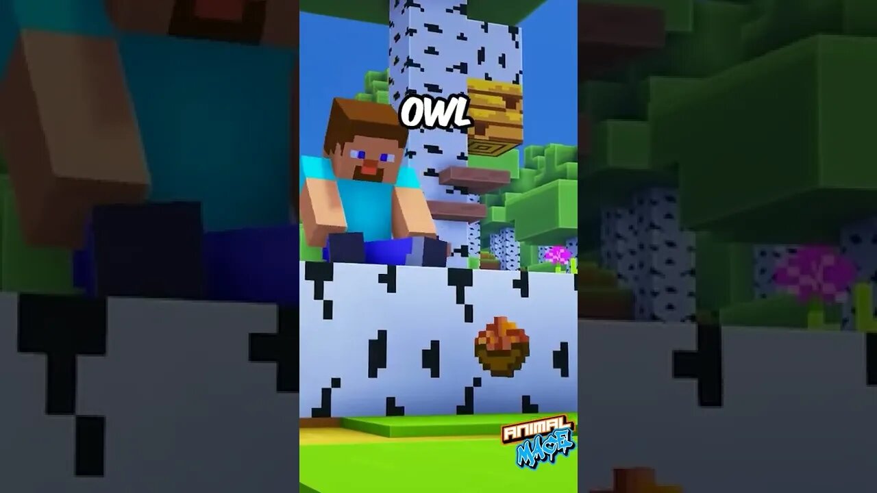 OWLS in MINECRAFT #minecraft #shorts