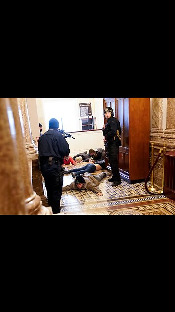 protesters terrorized by police at gunpoint on January 6