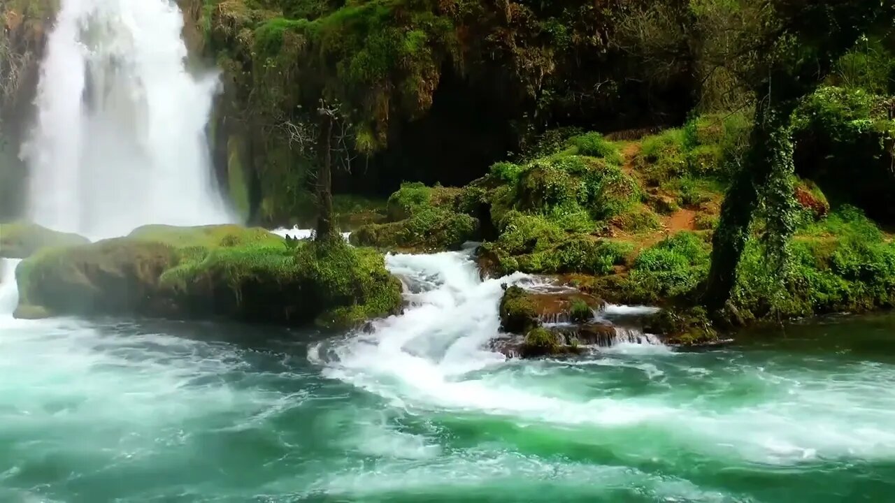 MÚSICA RELAXANTE - ACALMAR A MENTE PIANO E NATUREZA