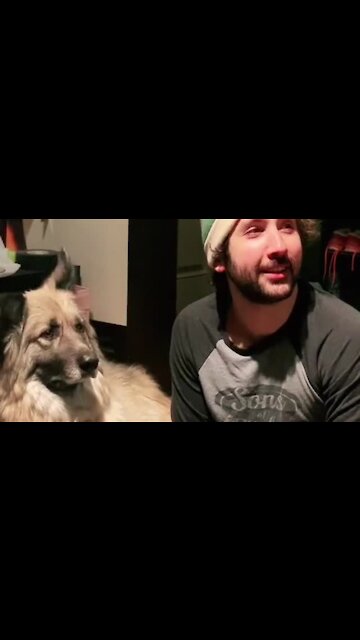 What Happens If You Call Your Dog When He's Right Next To You?