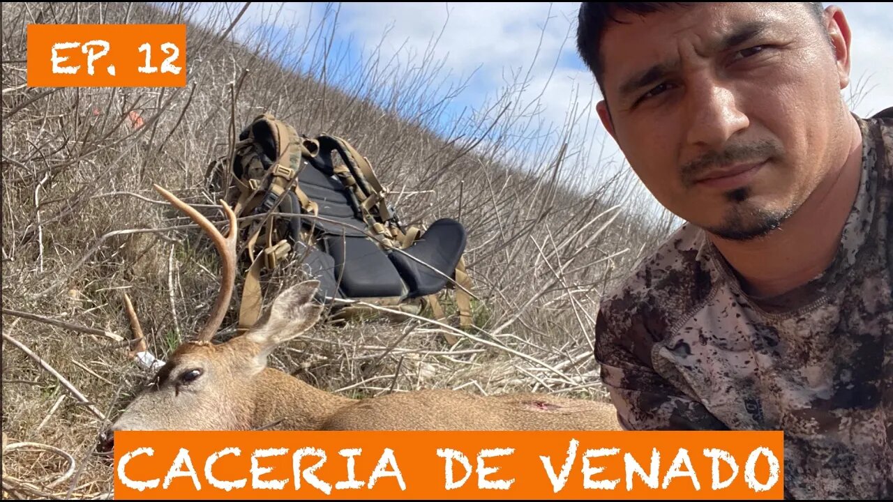 CACERIA DE VENADO 🦌 CON 308 - @ 400 YARDAS @Cazadores Norte Americanos - North American Hunters