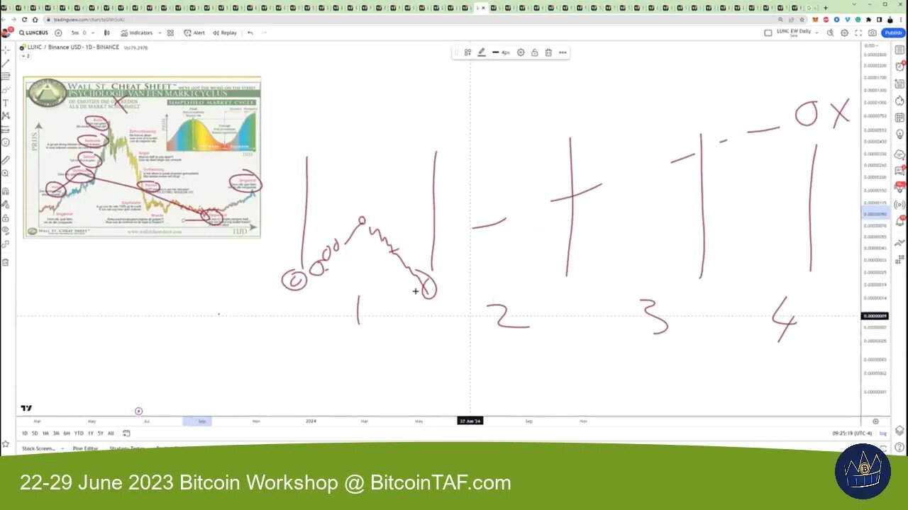 The Emotional Rollercoaster in Cryptocurrencies. How to beat the Elite.