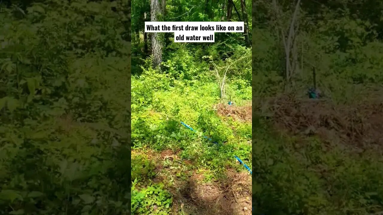 well water pulled for first time in years 💦 #construction #survival #diy